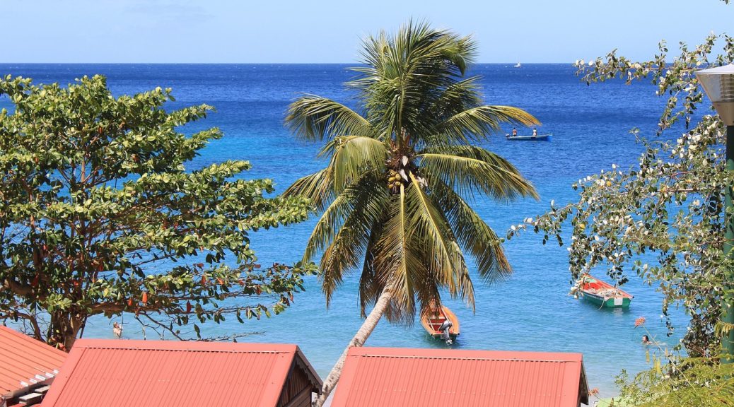 Partez à la découverte des trésors cachés de la Martinique en road trip